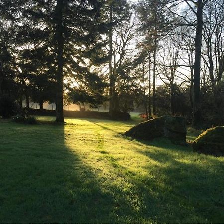 Merveilleux Cottage Dans Parc De 7,5 Hectares Saint-Nicolas-du-Pélem Eksteriør bilde