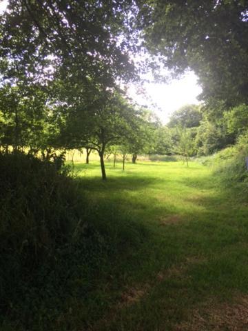 Merveilleux Cottage Dans Parc De 7,5 Hectares Saint-Nicolas-du-Pélem Eksteriør bilde